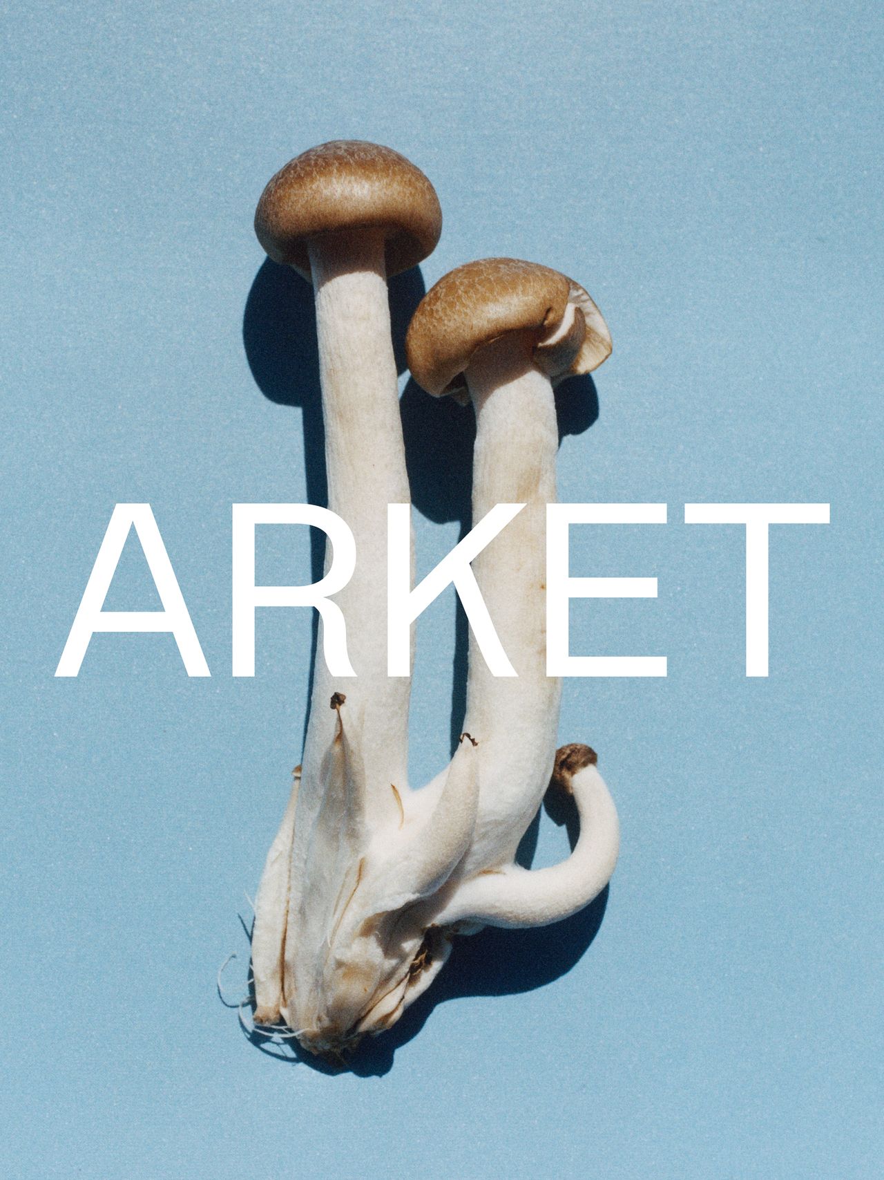 24320_Brand_AW_Campaign_LOGO_23