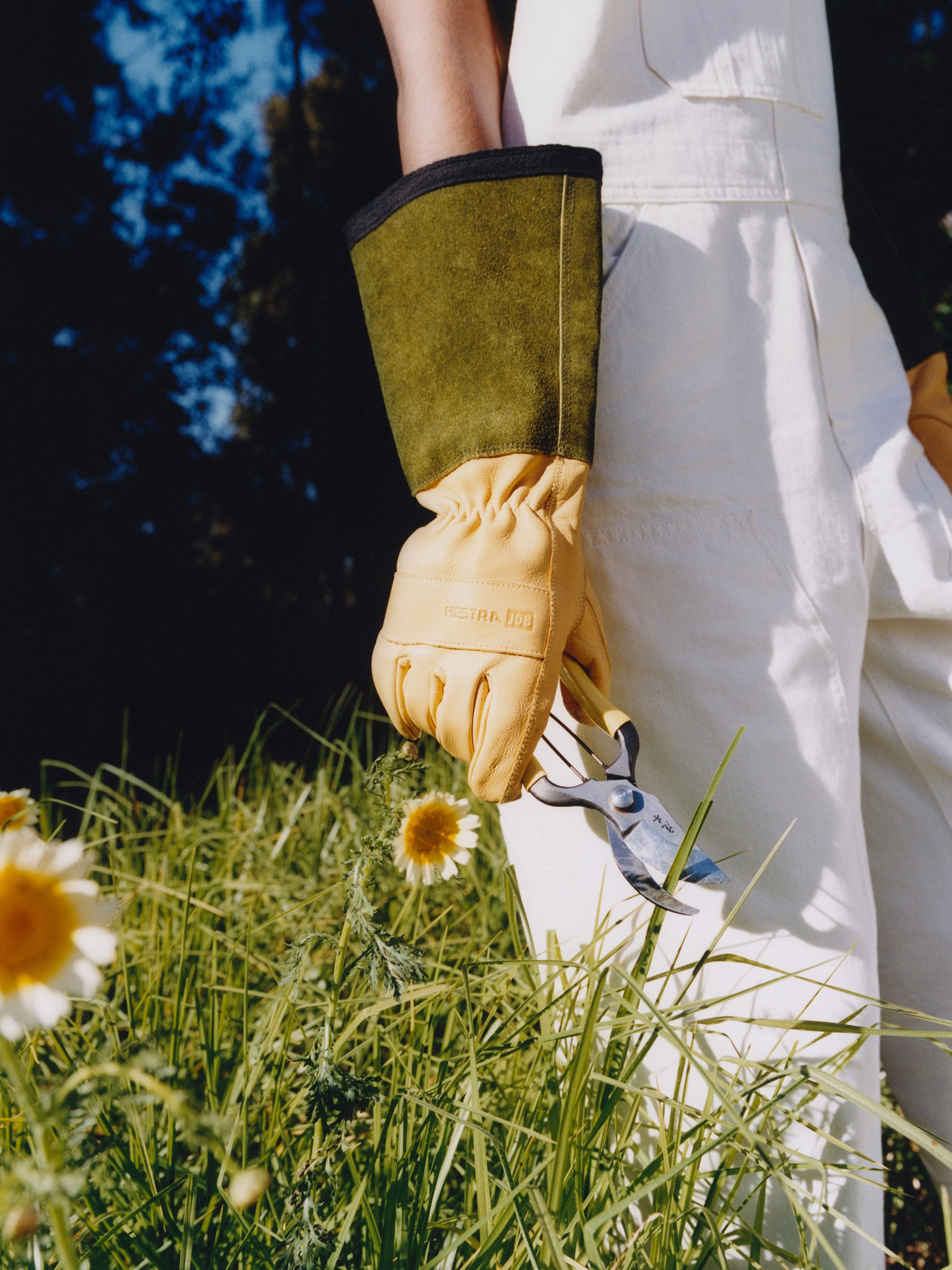 Person in white overalls holding pruning shears and wearing yellow gardening gloves, standing in grass with daisies.
