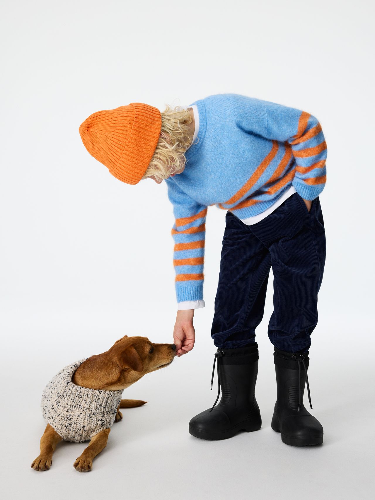 Child in a blue and orange sweater and hat feeds a small dog wearing a knitted sweater. Both are on a white background.