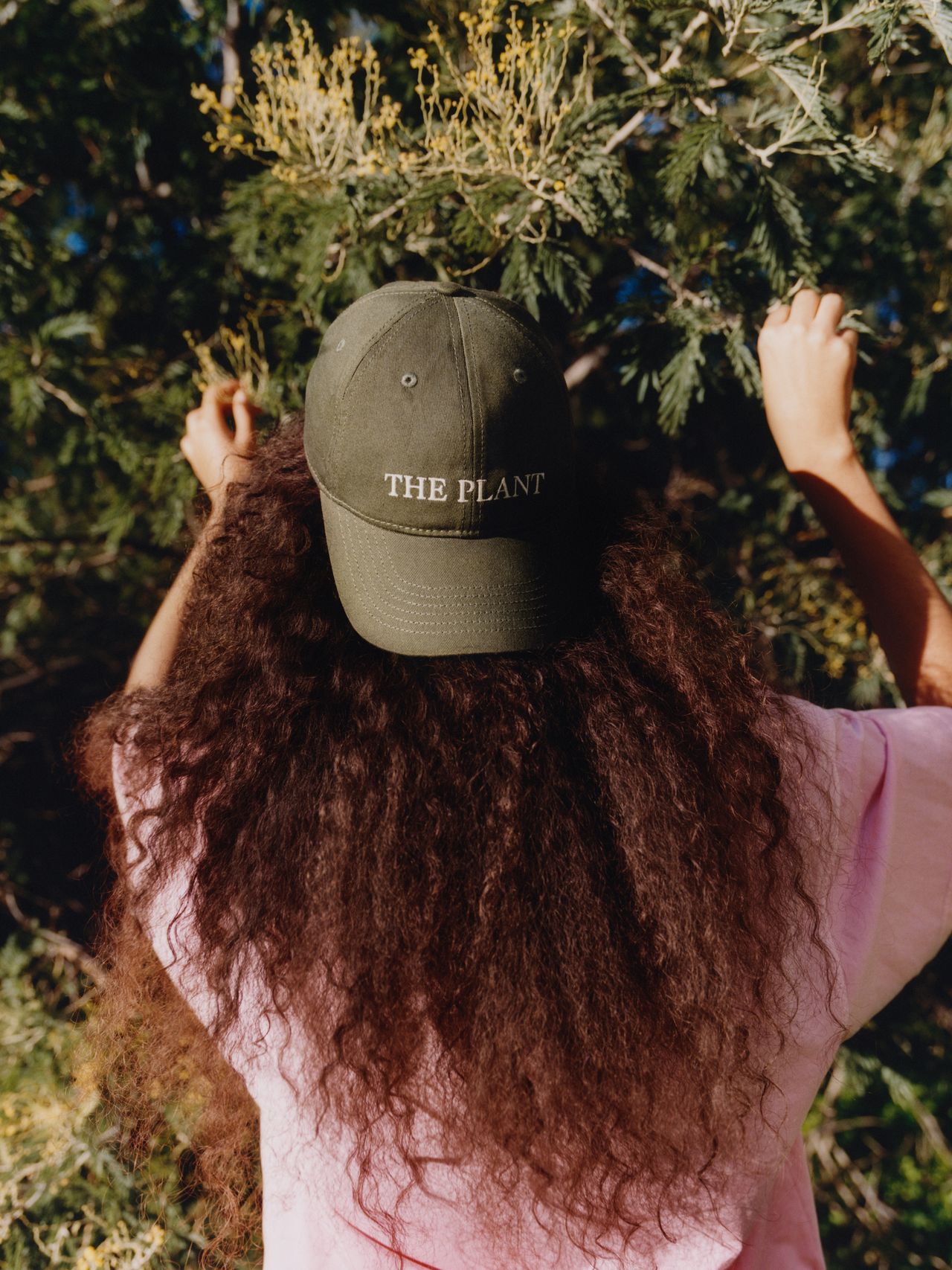 Person with long curly hair, wearing a green cap reading "THE PLANT," reaches up to touch tree branches, wearing a pink shirt.