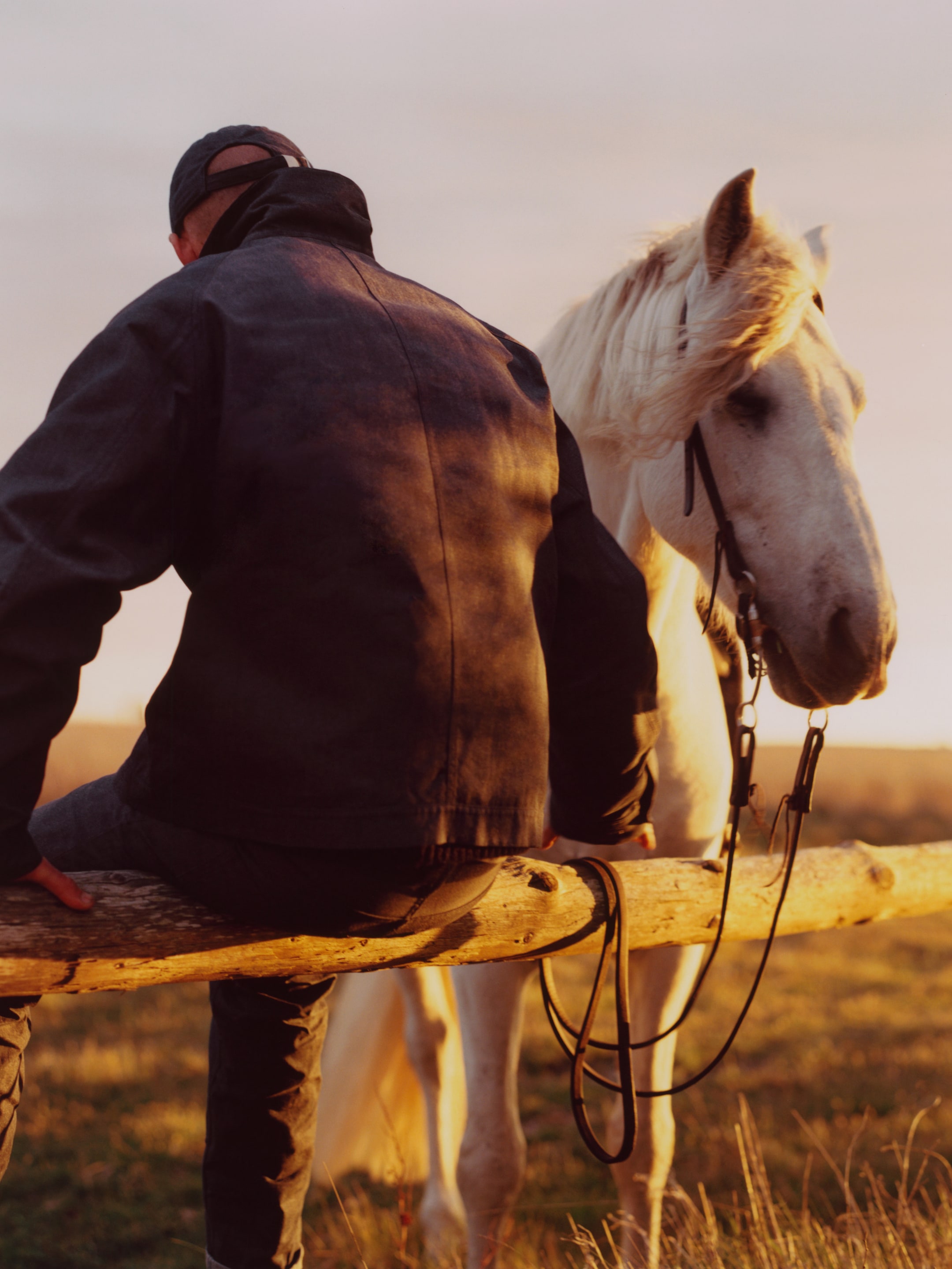 A person in a dark jacket sits on a wooden fence beside a white horse at sunset in a grassy field.