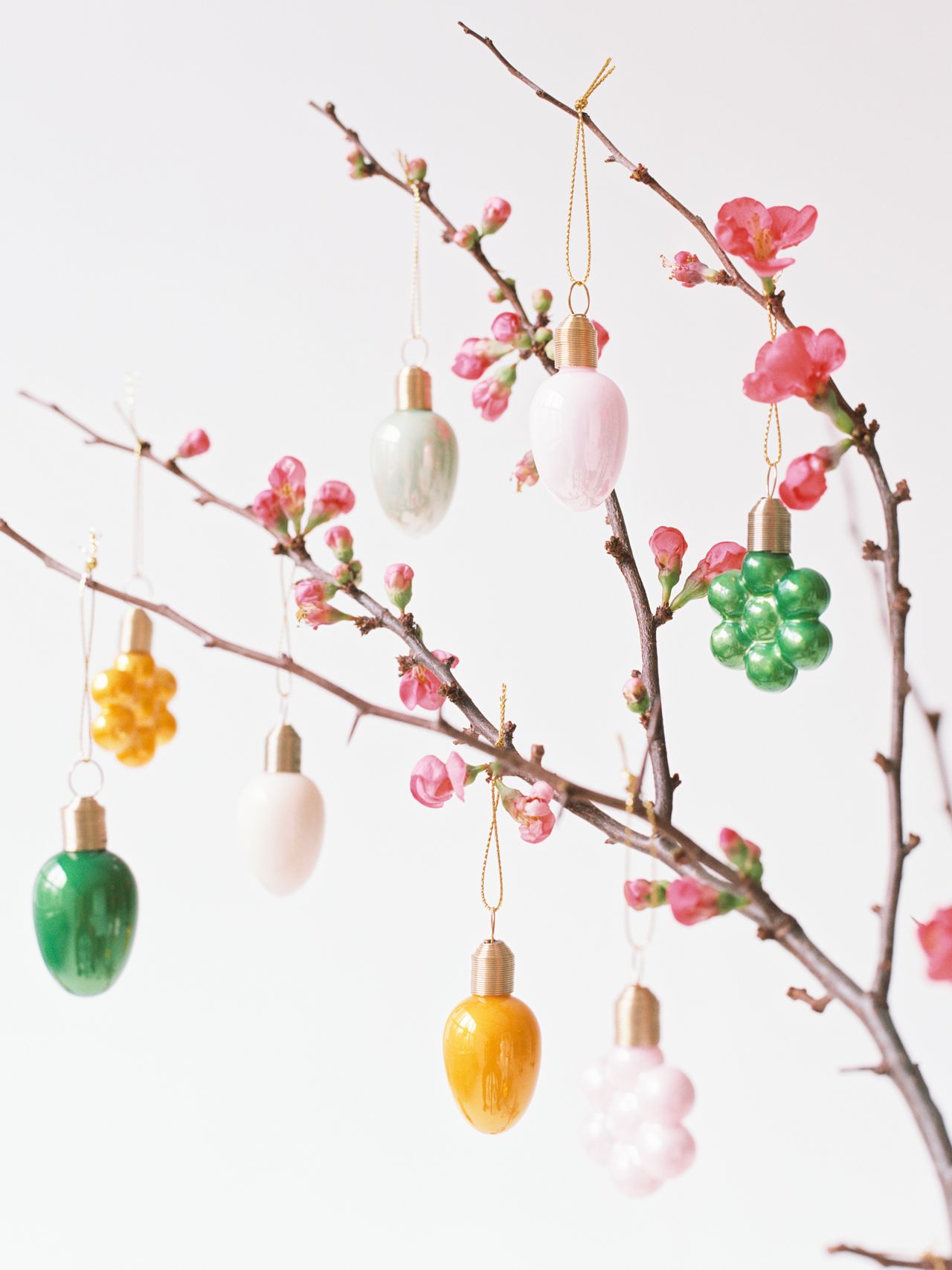 Colorful light bulb ornaments hanging on a bare branch with pink blossoms, against a plain white background.
