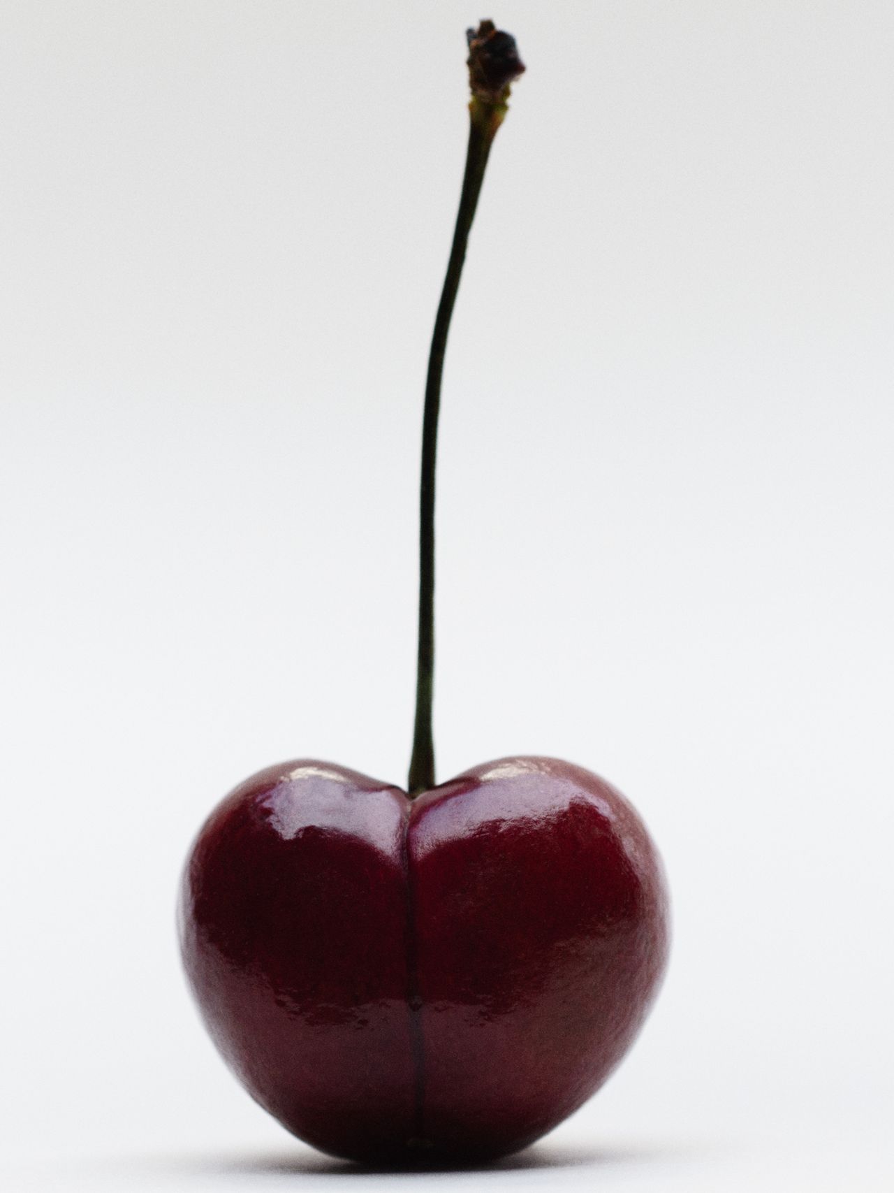 A single deep red cherry with a long, slender stem, standing upright against a plain white background.