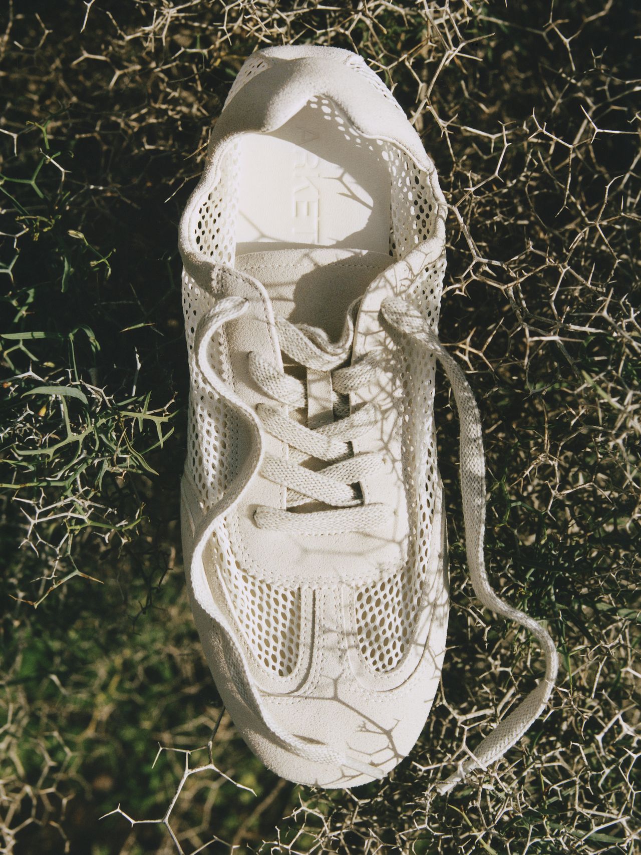 A white sneaker with a mesh design and laces lies on dense, spiky grass, casting shadows on the ground.