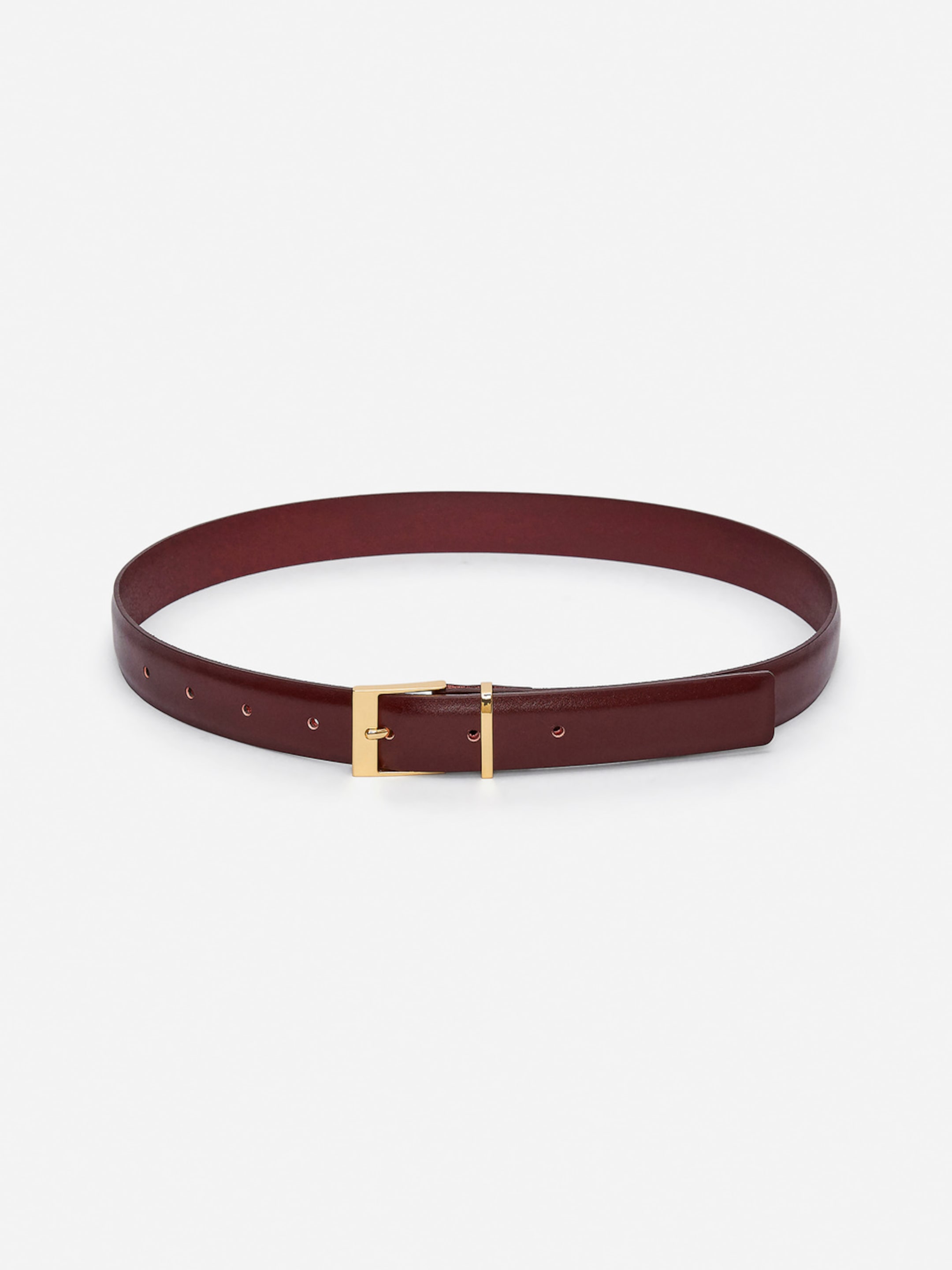 A brown leather belt with a gold buckle, featuring multiple holes for adjustable sizing, displayed on a plain white background.